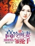 旧爱新婚，高冷前妻很抢手