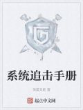 系统追击手册