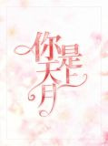 你是天上一轮明月歌曲试听