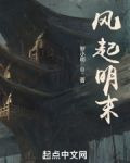 风起明末