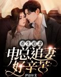 重生宠妻：申总追妻好辛苦